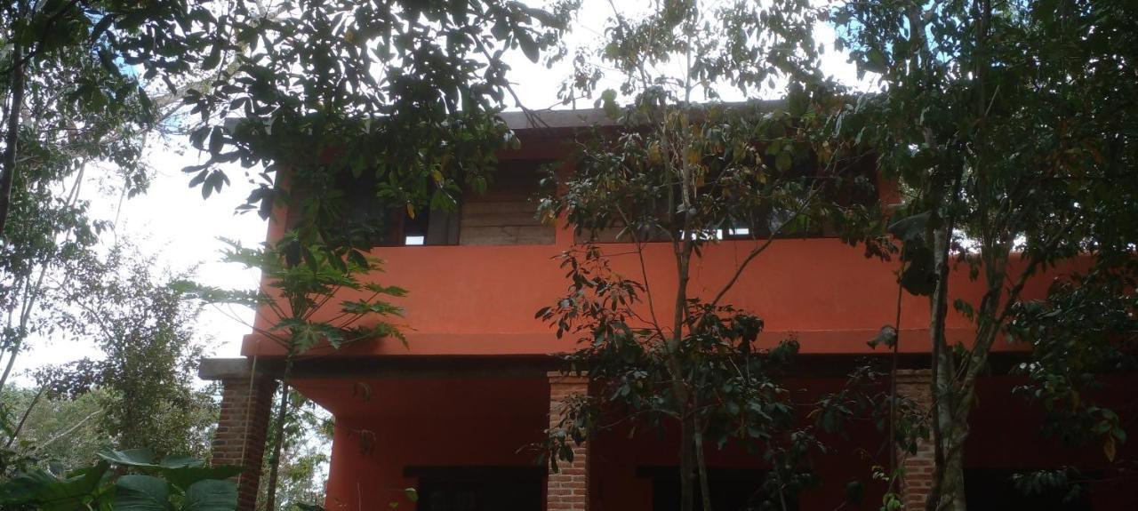 Casa Mango Bed & Breakfast Tulum Exterior foto
