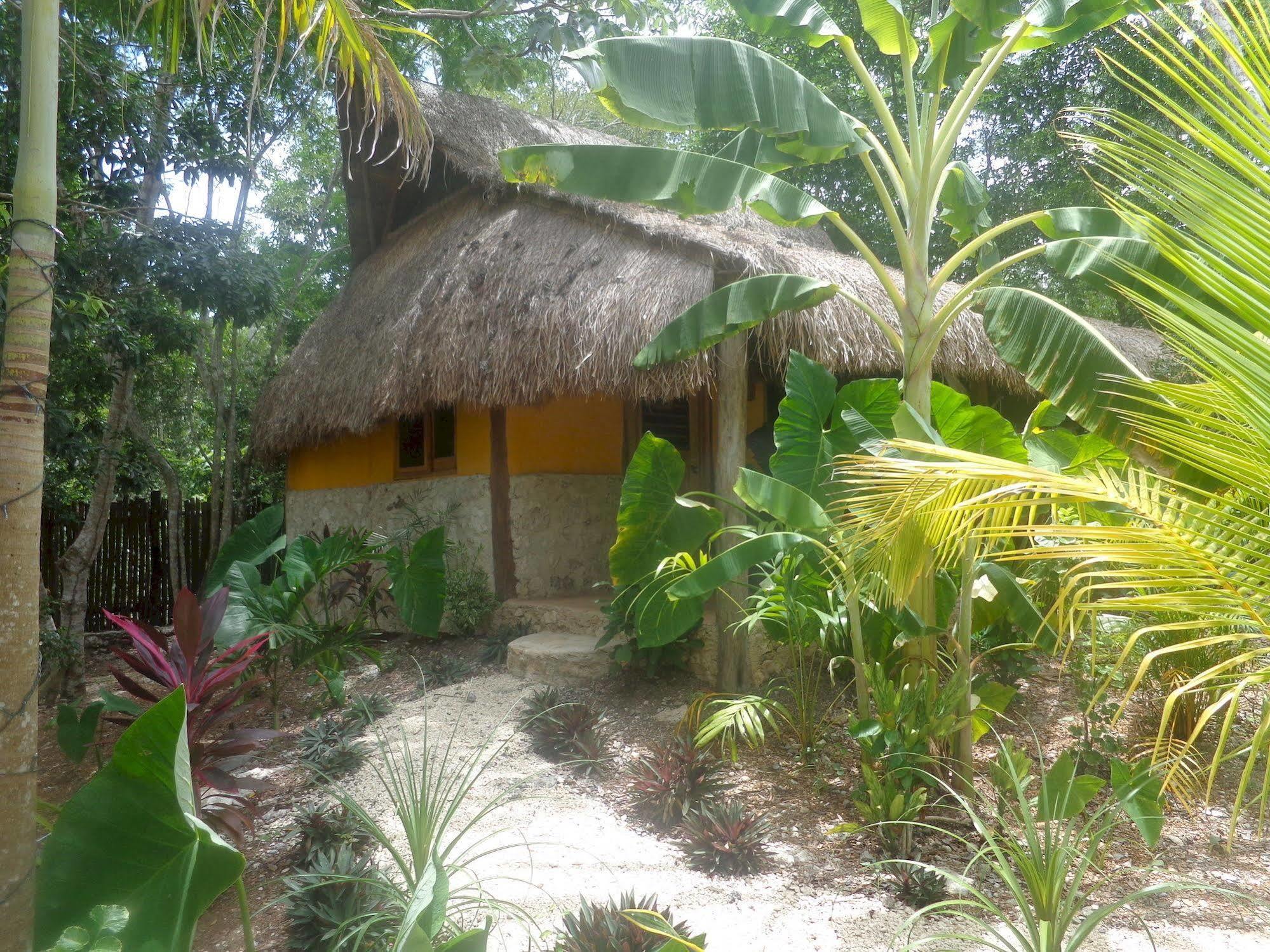 Casa Mango Bed & Breakfast Tulum Exterior foto